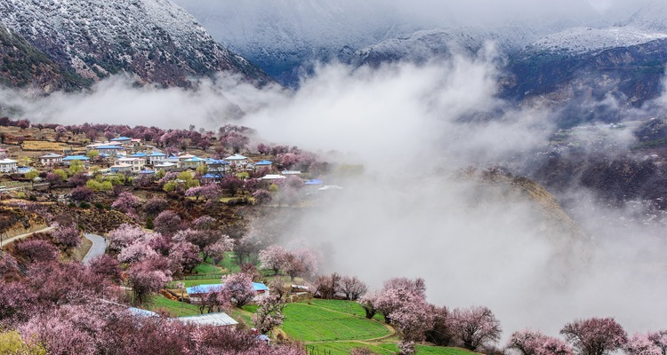 生成西藏风景图 (1)